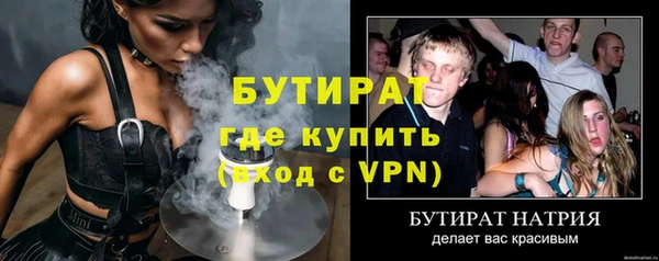прущие грибы Бородино