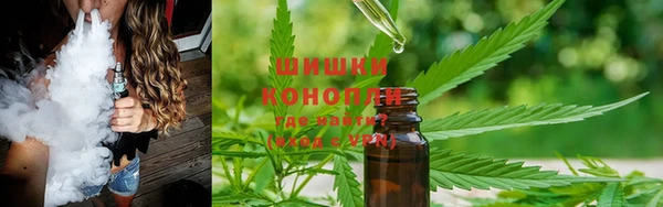 спиды Бронницы