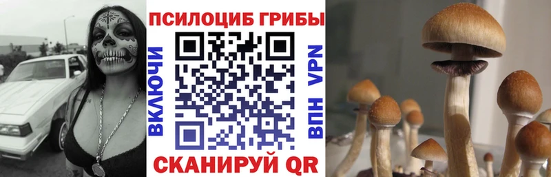 Галлюциногенные грибы ЛСД  Горняк 
